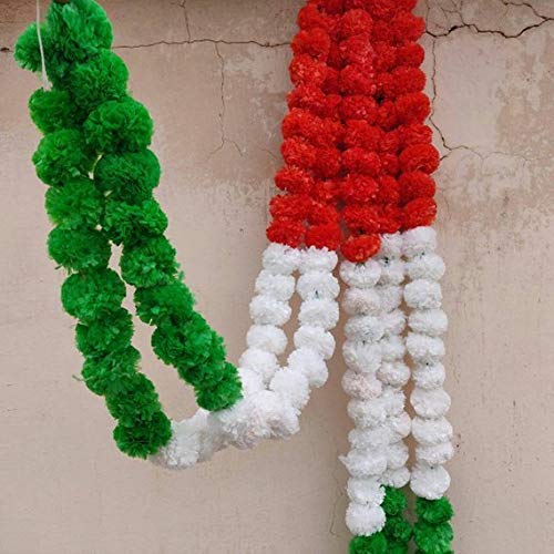 TRI COLOUR GENDA LADI